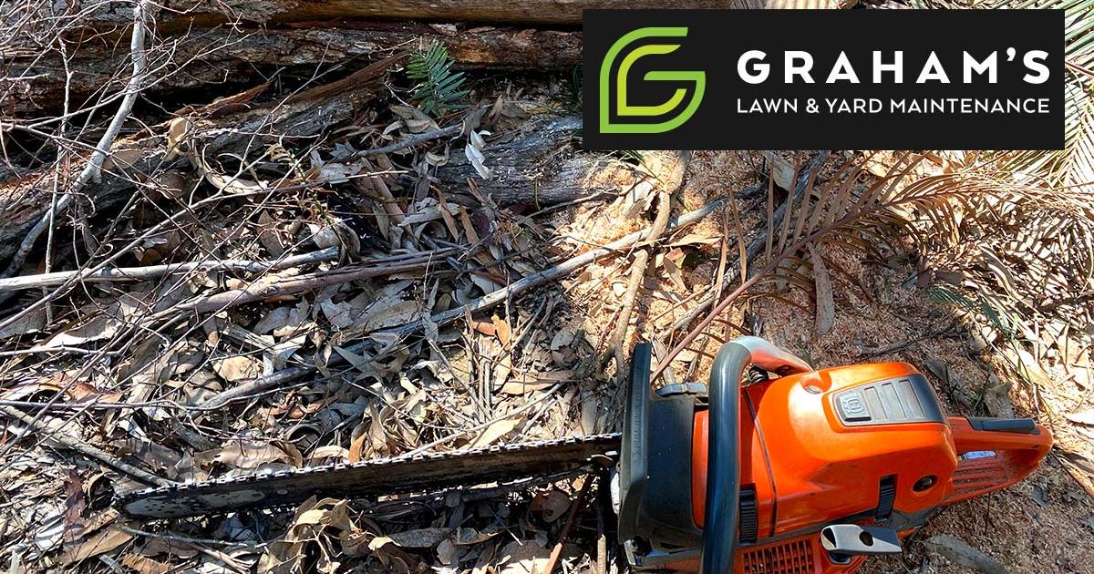 Tree lopping Brisbane northside | Graham's