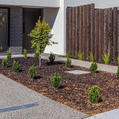 Modern landscaped small garden bed in middle of driveway