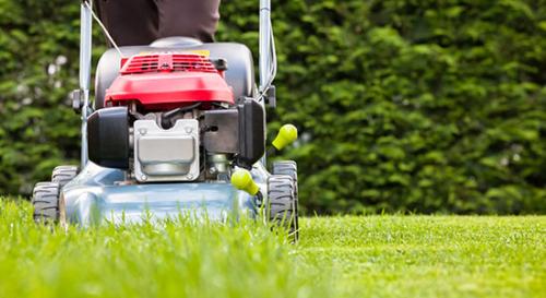 Closeup of lawn mower mowing grass