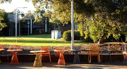 Outdoor cafe lawn area
