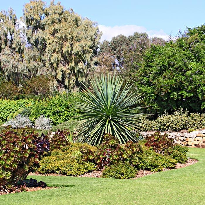 Beautiful landscaped garden Brisbane