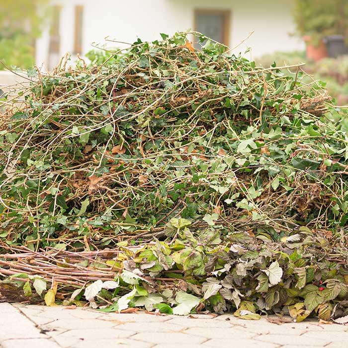 Big ugly pile of green waste at suburban house